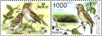 Thrush Nightingale (Luscinia luscinia)