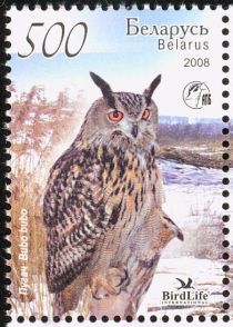 Eurasian Eagle-owl (Bubo bubo)