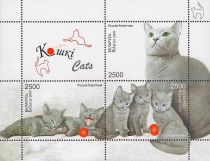 Russian Blue (Felis silvestris catus)