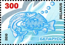 International Year of Biodiversity - Fish