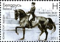 Dressage, Horse (Equus ferus caballus)