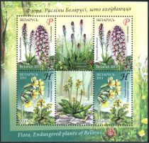 Flora - Endangered Plants of Belarus (2011)