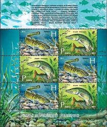 Fauna of Belarus - Reservoir Fish (2011)