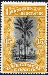 Oil Palm Trees Bilingual (French-Dutch)