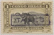 African Elephant (Loxodonta africana) -New Color overprinted