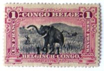 African Elephant (Loxodonta africana) - overprinted