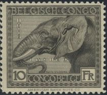 African Elephant (Loxodonta africana)