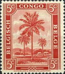 Oil palm trees - bilingual "Belgisch Congo Belge"