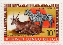 Common Eland (Taurotragus oryx), Plains Zebra (Equus quagga)