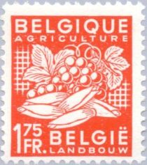 Agricultural Products