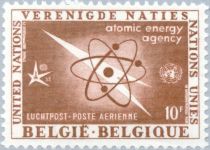 International Atomic Energy Agency (I.A.E.A.)