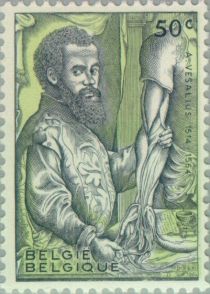 Andreas Vesalius (1514-1564) with Model of Human Arm