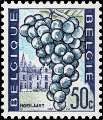 Grapes and Houses, Hoeilaart