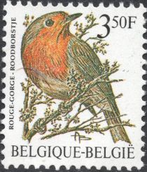 European Robin (Erithacus rubecula)