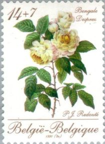 Promotion Philately - Rose "Bengale Desprez"