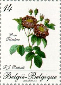 Stampexhibition BELGICA. Rose tricolore "P.J.Redoute"