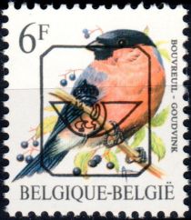 Eurasian Bullfinch (Pyrrhula pyrrhula)