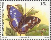 Purple Emperor (Apatura iris)