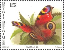 European peacock (Inachis io)