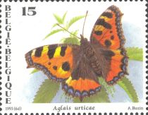 Small Tortoiseshell (Aglais urticae)