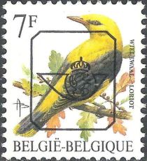 Eurasian Golden Oriole (Oriolus oriolus)