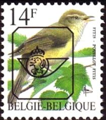 Willow Warbler (Phylloscopus trochilus)