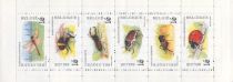 Booklet Insects