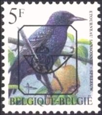 European Starling (Sturnus vulgaris)