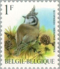 Crested Tit (Lophophanes cristatus)