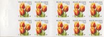 Booklet Tulip Triomf "Kees Nelis" Selfadhesive