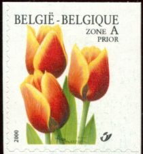 Tulip Triumph "Kees Nelis" Selfadh. Right + Top imperforate