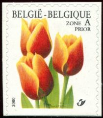 Tulip Triumph "Kees Nelis"  Selfadh. Bottom imperforate