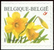 Wild Daffodil Self-adhesive Left imperforate