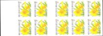 Booklet Wild Daffodil Self-adhesive