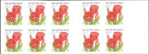 Booklet Red Tulip Self-adhesive