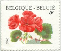 Geranium Pelargonium Coil stamp 2000