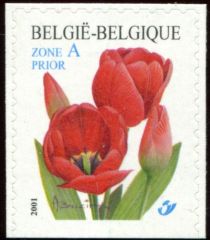 Red Tulip Self-adhesive Bottom imperforate