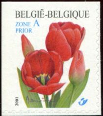 Red Tulip Self-adhesive Left and Top imperforate