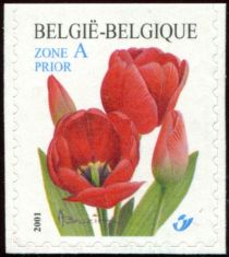 Red Tulip Self-adhesive Top imperforate