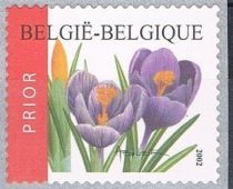 Flowers- Crocus vernus - perf 13¾ x 14