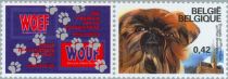 Brussels Griffon (Canis lupus familiaris) with Label