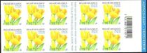 Booklet Tulip "Darwin - Golden Apeldoorn"