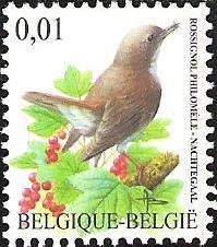 Common Nightingale (Luscinia megarhynchos)