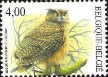 Eurasian Eagle-Owl (Bubo bubo)