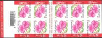 Booklet Flower Impatiens Selfadhesive