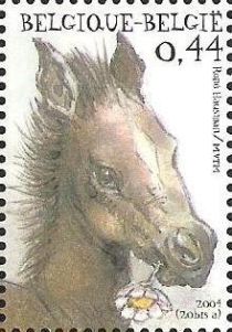 Horse (Equus ferus caballus)