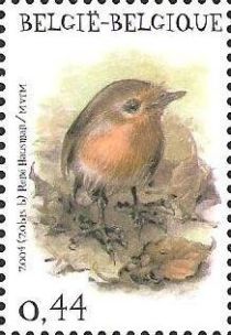 European Robin (Erithacus rubecula)