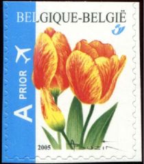 Tulip Darwin Self-adhesive - top imperf