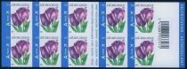 Tulip Rembrandt Selfadhesive