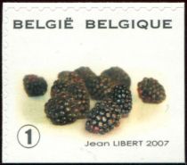 Fruit Selfadhesive - Black berry